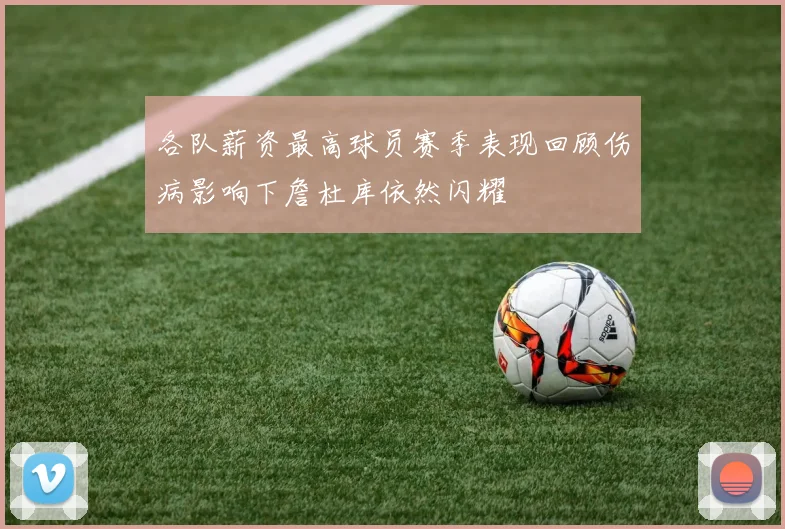 各队薪资最高球员赛季表现回顾伤病影响下詹杜库依然闪耀